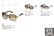 DSquared Sunglasses DQ 0039