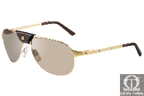 Cartier sunglasses T8200630