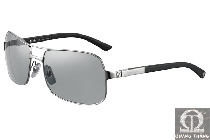 Cartier sunglasses T8200717
