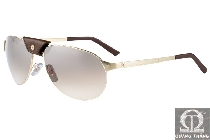 Cartier sunglasses T8200809