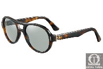 Cartier sunglasses T8200818